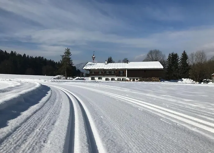 Hartkaiser 埃尔毛