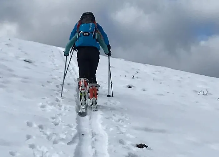 Апартаменты Hartkaiser