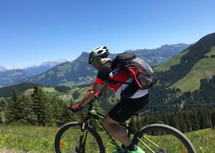 Апартаменты Hartkaiser