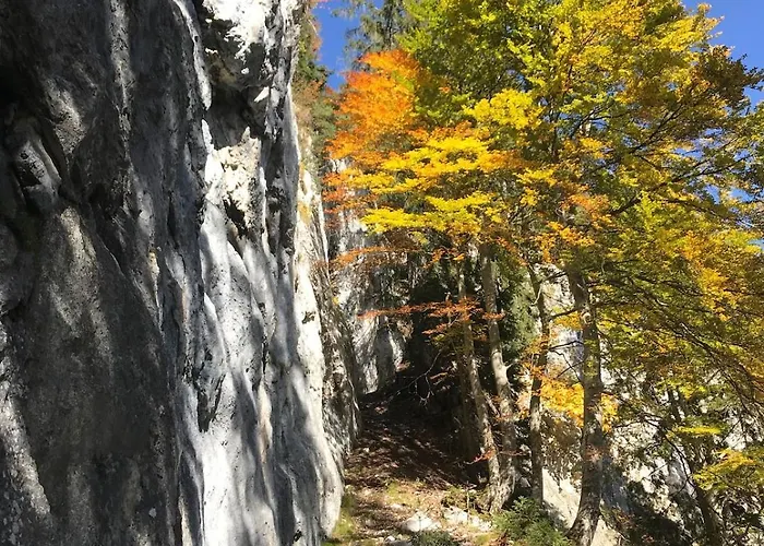 Hartkaiser Апартаменты *