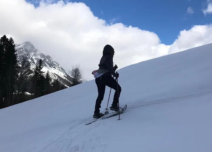 Hartkaiser Апартаменты Элльмау