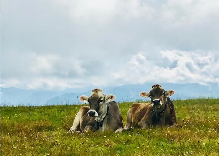 Апартаменты Hartkaiser Элльмау